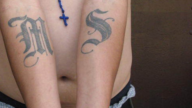 MS13 Gang Crackdown.jpg